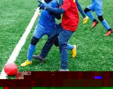 缅怀已故的,林子金,赛程中第分,新葡京,新葡京app,新葡京娱乐,新普京赌场